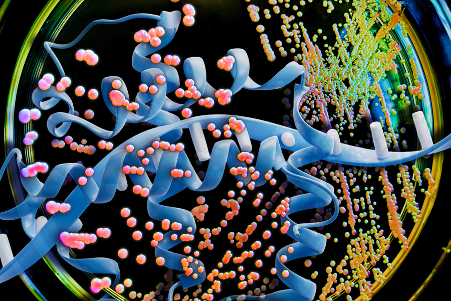 A DNA strand floats above a petri dish with yeast mold.