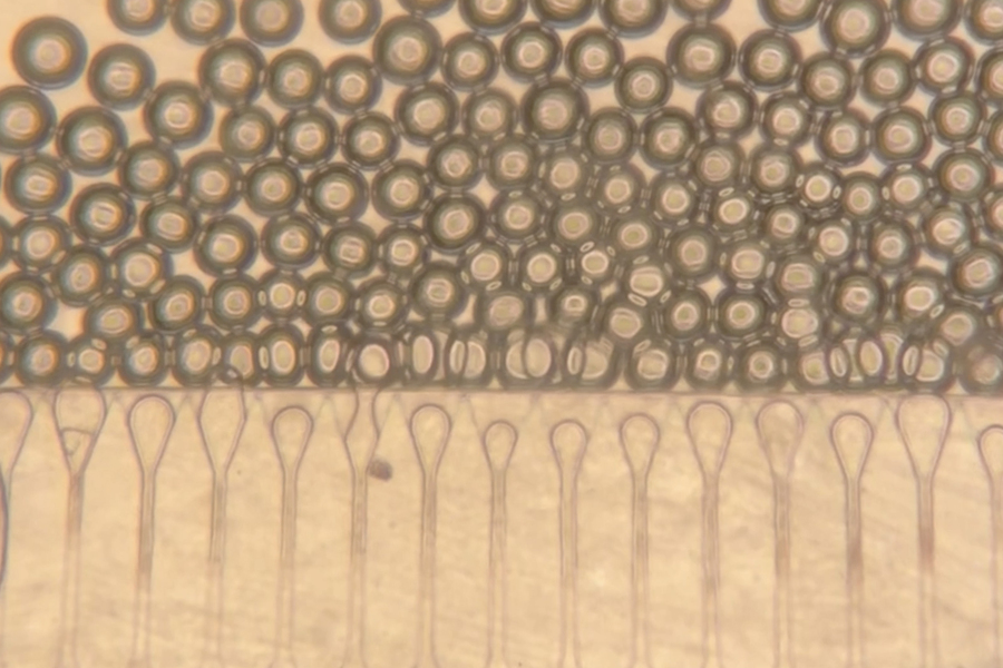 Side of tiny device shows pipettes releasing microspheres.