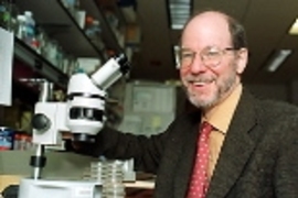 Professor H. Robert Horvitz, MIT's newest Nobel laureate, in his lab.