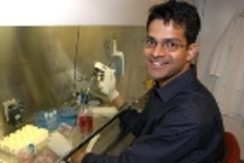 Broad Institute researcher Vamsi Mootha works with cells in the lab.