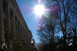 A well-trod footpath around Killian Court provides evidence that many ventured outdoors the day after the Jan. 22-23 blizzard.