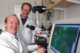 Research scientist Rutledge Ellis-Behnke, left, and Professor Gerald E. Schneider, both of the Department of Brain and Cognitive Sciences, worked with others to create a technique that helps rodents recover from traumatic brain injuries. The monitor shows a microscopic view of the brain repair.