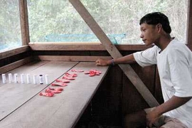 A PirahÃ£ man participates in an experiment that MIT researchers say indicates his language contains no number words.