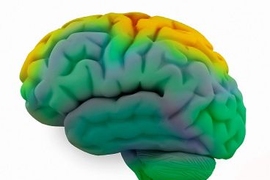 new brain research