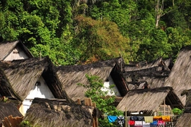 A village in rural Indonesia. A new study by MIT researchers suggests local residents make accurate judgments of their neighbors’ poverty levels.