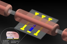 Ion-Selective Microelectrodes for Low-Power Electrochemical Stimulation and Blocking of Neuromuscular Systems.
