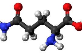 MIT researchers have found that when deprived of oxygen, cancer cells can engage an alternate metabolic pathway that allows them to use glutamine (seen above) as the starting material for synthesizing lipids.