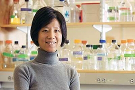 Yingxi Lin, a member of the McGovern Institute for Brain Research and the the Frederick and Carole Middleton Career Development Assistant Professor of Brain and Cognitive Sciences.