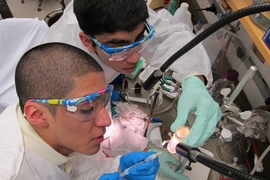 Team members Jonathan Calderon and Jaaron Botello extracting purified phage particles after ultracentrifugation through a cesium chloride gradient.