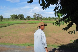 Thailand’s Million Baht Village Fund provided credit to people with rural businesses.