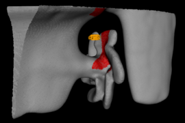 Algorithms developed by MIT researchers enable an autonomous underwater vehicle (AUV) to swim around and reconstruct a ship's propeller.