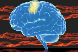 This graphic shows the brain, with the motor cortex highlighted in yellow.