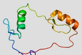Structure of the CTCF protein