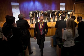 President L. Rafael Reif returns to his seat in Kresge Auditorium after receiving an honor delivered by the Caracas Brass, who performed a special concert in honor of Reif's inauguration.
