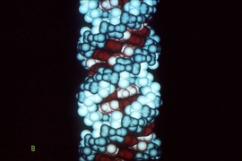 Graphic of DNA double helix