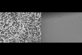 A comparison between an untreated smooth surface (left) and lubricant-impregnated surface (right), after having gypsum-rich water boiled away from it in the lab. The treated surface shows significantly less scale deposition.