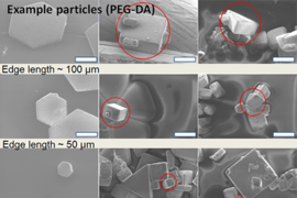 Shown here are examples of micro shapes polymerized by ultraviolet light in polyethylene glycol diacrylate (PEG-DA). 