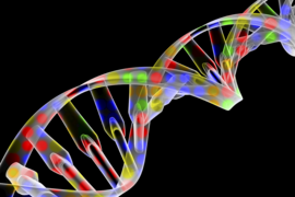 DNA