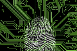 Fingerprint on top of circuit lines