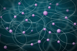 This image illustrates the entanglement of a large number of atoms. The atoms, shown in purple, are shown mutually entangled with one another.