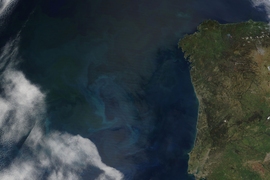 A large phytoplankton bloom off the coast of Portugal