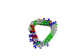 Amyloidal structure created with the Matriarch software.
