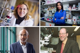 (Clockwise from top left) 
Angela M. Belcher; Sangeeta N. Bhatia; H. Robert Horvitz; and Emery N. Brown.