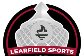 Director's cup logo