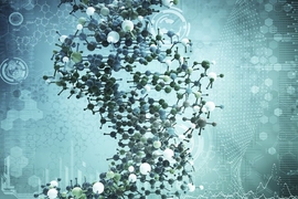 “Science is always subject to a set of assumptions,” David Gifford says. “What this whole study demonstrates, in my opinion, is that it’s important to think carefully about our assumptions.”