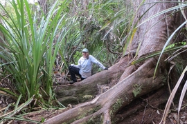 MIT grad student Alison Hoyt studies the carbon cycle of Borneo’s tropical peat swamp forests. 