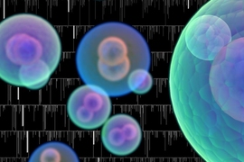 A new technique invented at MIT can precisely measure the growth of many individual cells simultaneously. “The device provides new insights into how cells grow and respond to drugs,” MIT professor Scott Manalis says.