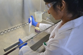 Manoshi Datta, a postdoc in the Department of Civil and Environmental Engineering, pipettes bacterial samples in the lab.