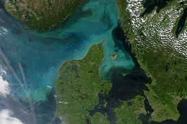 Phytoplankton bloom off Denmark in 2004 