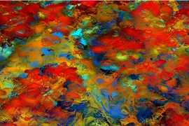 This example of a 3-D ladar point cloud shows a fully foliated field site. Color indicates elevation above the ground, with red tones indicating a higher elevation value (for example, tree tops and vegetation) and blue tones indicating lower elevation value (ground-level vegetation and the ground itself).