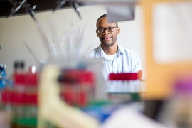 A team of MIT biological engineers has developed a method to measure levels of the iron-containing protein heme inside the malaria parasite. “One of our long-term goals is ultimately being able to tie insights from these studies back to thinking about drug discovery and targeting pathways that regulate heme,” says Jacquin Niles, an MIT associate professor of biological engineering.