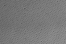 This high-resolution transmission electron micrograph of particles made by the research team shows the particles’ highly uniform size and shape. These are iron oxide particles just 3 nanometers across, coated with a zwitterion layer. Their small size means they can easily be cleared through the kidneys after injection.