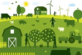 At the second annual Rabobank-MIT Food and Agribusiness Innovation Prize competition, seven finalist startups and teams from MIT and other universities pitched their business ideas to a panel of judges, for a chance to win prizes totaling $25,000. The pitches addressed some of today’s most pressing issues in the food and agriculture industries.