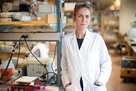 “Our prediction is that we might be able to identify risk for preterm birth ahead of time, before labor sets in,” says Katharina Ribbeck, an associate professor of biological engineering at MIT and the senior author of the study. “Diagnostic tools for this are missing.”