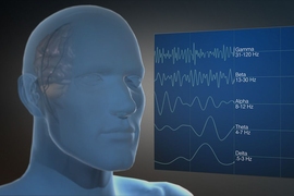 brain waves associated with information processing or problem solving are