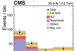 Vector-boson scattering processes are characterized by two high-energetic jets in the forward regions of the detector. The Figure shows a significant excess of events in the distribution of the mass of the two tagging jets in yellow, labelled as EW WW.