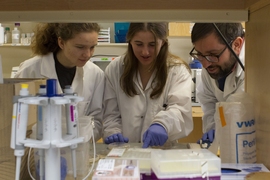 Gabriel Leventhal (right), a postdoc in the Department of Civil and Environmental Engineering, works with UROP students Sarah Weidman (left) and Lindsey McAllister (center) to analyze samples from The Herman Project, a citizen-science sourdough project.