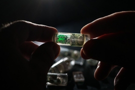 MIT engineers have designed an ingestible sensor equipped with bacteria programmed to sense environmental conditions and relay the information to an electronic circuit.