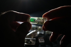 research paper topics on women's rights MIT engineers have designed an ingestible sensor equipped with bacteria programmed to sense environmental conditions and relay the information to an electronic circuit.