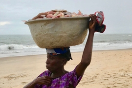 A woman in Ghana carries a basket of fish. Local diets and lifestyles have created a remarkable diversity in the human microbiome worldwide.