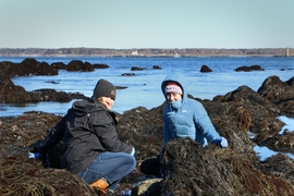 Valerie Muldoon (left), a third-year mechanical engineering student, and biological engineering student Jenna Melanson explore a coastal ecosystem during a field trip to Odiorne Point State Park in New Hampshire. 
