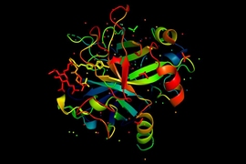 A new model developed by MIT researchers creates richer, more easily computable representations of how individual amino acids determine a protein’s function, which could be used for designing and testing new proteins.