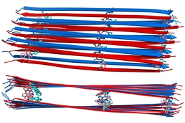 MIT chemists have determined the structure of the amyloid fibers formed by the hormone glucagon when it is dissolved in liquid. Each fibril is made of sheets of peptides that run antiparallel to each other.