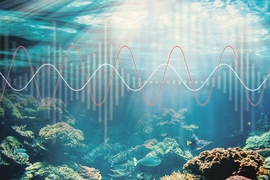 A battery-free underwater “piezoelectric” sensor invented by MIT researchers transmits data by absorbing or reflecting sound waves back to a receiver, where a reflected wave decodes a 1 bit and an absorbed wave decodes a 0 bit — and simultaneously stores energy.