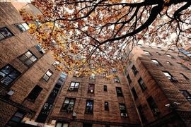 J-PAL North America's recently released publication summarizes 40 rigorous evaluations of policies and programs aiming to reduce and prevent homelessness.