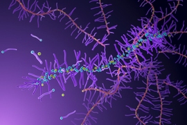 A new type of polymer designed by MIT chemists incorporates a special monomer (yellow) that helps the polymers to break down more easily under certain conditions.